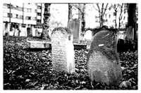 Juedischer Friedhof Seegasse
