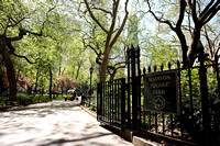 New York Parks